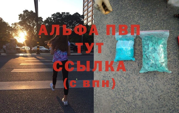 дживик Белокуриха