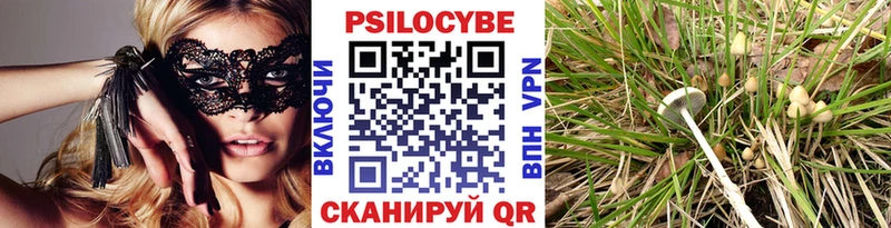 где можно купить наркотик Новоаннинский Псилоцибиновые грибы мухоморы